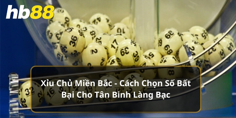 Xỉu Chủ Miền Bắc - Cách Chọn Số Bất Bại Cho Tân Binh
